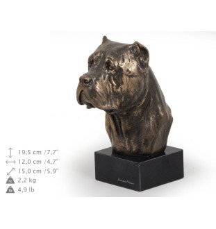 Cane Corso głowa na kamieniu Art-Dog